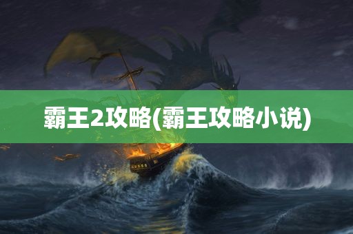 霸王2攻略(霸王攻略小说)