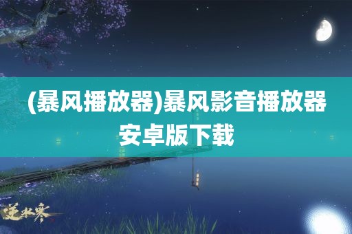 (暴风播放器)暴风影音播放器安卓版下载