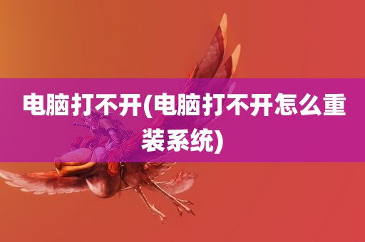 电脑打不开(电脑打不开怎么重装系统)