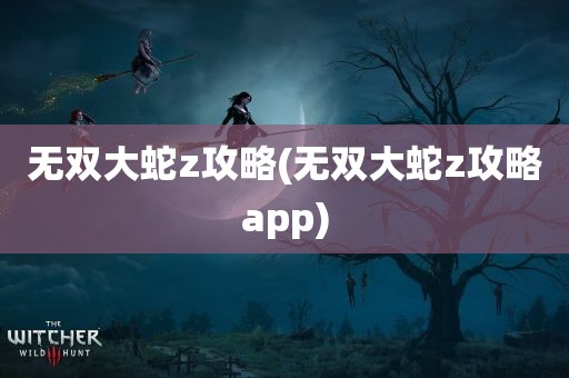 无双大蛇z攻略(无双大蛇z攻略app)