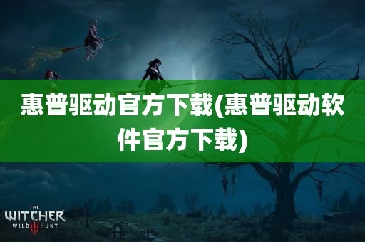 惠普驱动官方下载(惠普驱动软件官方下载)