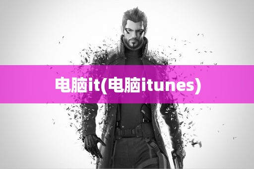 电脑it(电脑itunes)