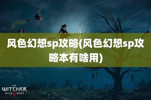 风色幻想sp攻略(风色幻想sp攻略本有啥用)