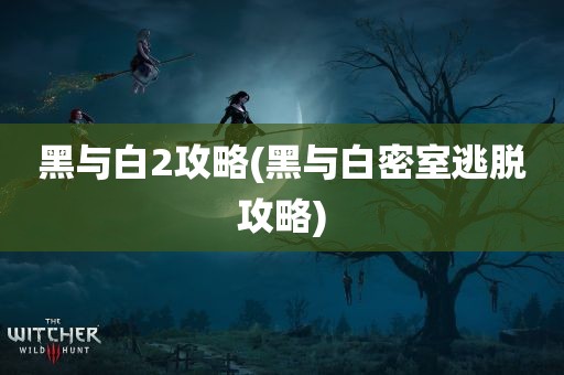 黑与白2攻略(黑与白密室逃脱攻略)