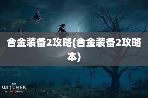 合金装备2攻略(合金装备2攻略本)