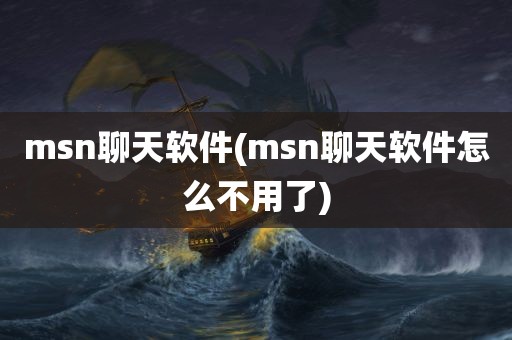 msn聊天软件(msn聊天软件怎么不用了)