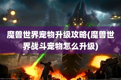 魔兽世界宠物升级攻略(魔兽世界战斗宠物怎么升级)