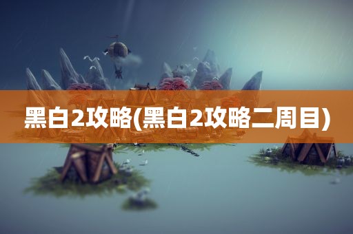 黑白2攻略(黑白2攻略二周目)