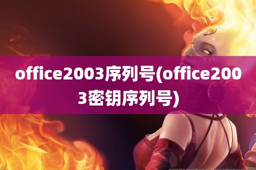 office2003序列号(office2003密钥序列号)