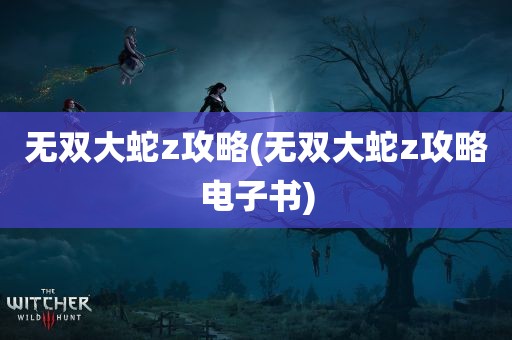 无双大蛇z攻略(无双大蛇z攻略电子书)