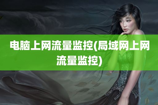 电脑上网流量监控(局域网上网流量监控)