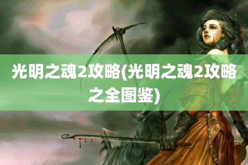 光明之魂2攻略(光明之魂2攻略之全图鉴)