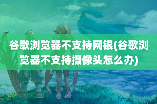 谷歌浏览器不支持网银(谷歌浏览器不支持摄像头怎么办)