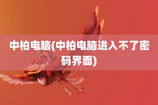 中柏电脑(中柏电脑进入不了密码界面)