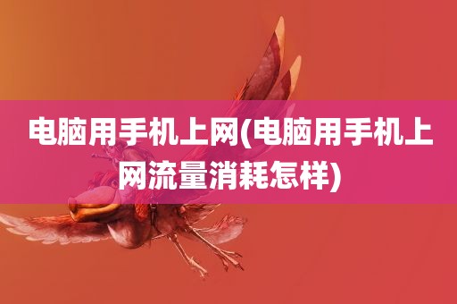 电脑用手机上网(电脑用手机上网流量消耗怎样)