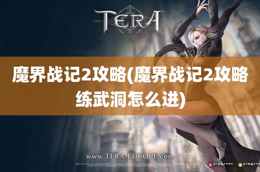 魔界战记2攻略(魔界战记2攻略练武洞怎么进)