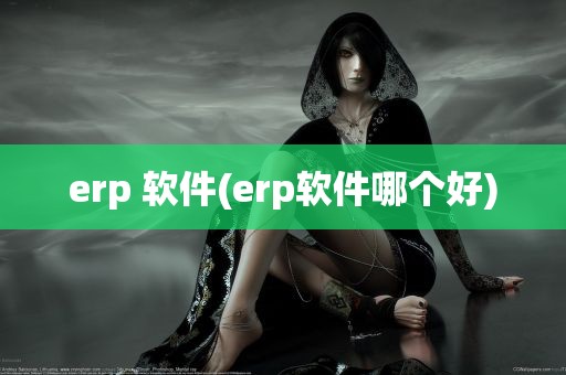 erp 软件(erp软件哪个好)