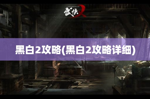 黑白2攻略(黑白2攻略详细)