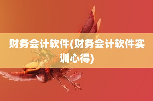 财务会计软件(财务会计软件实训心得)