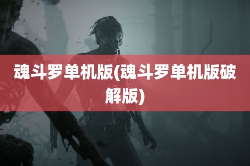 魂斗罗单机版(魂斗罗单机版破解版)