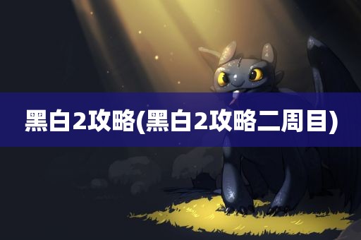 黑白2攻略(黑白2攻略二周目)