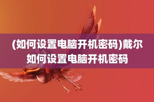 (如何设置电脑开机密码)戴尔如何设置电脑开机密码