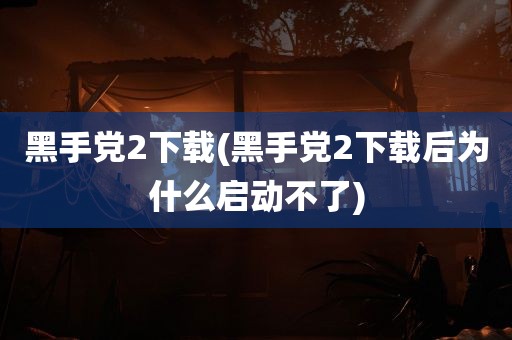 黑手党2下载(黑手党2下载后为什么启动不了)