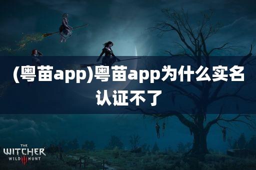 (粤苗app)粤苗app为什么实名认证不了