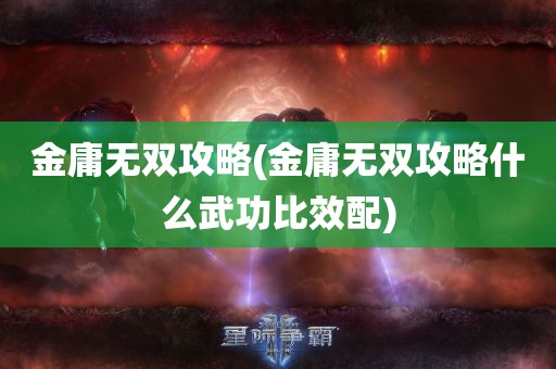 金庸无双攻略(金庸无双攻略什么武功比效配)