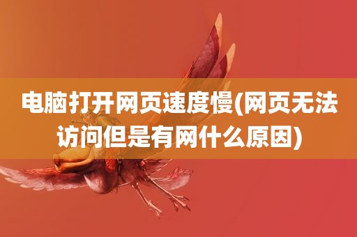 电脑打开网页速度慢(网页无法访问但是有网什么原因)