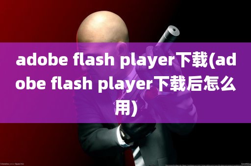 adobe flash player下载(adobe flash player下载后怎么用)