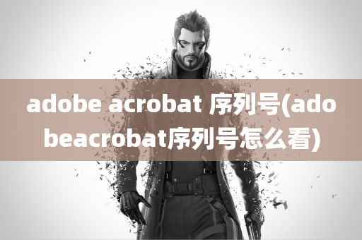 adobe acrobat 序列号(adobeacrobat序列号怎么看)