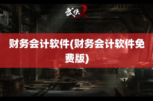 财务会计软件(财务会计软件免费版)