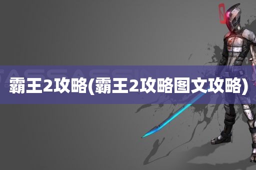 霸王2攻略(霸王2攻略图文攻略)