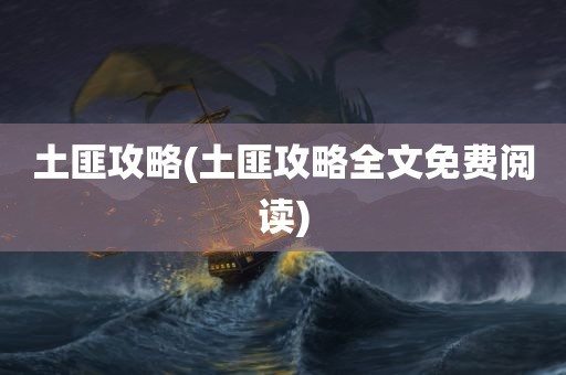 土匪攻略(土匪攻略全文免费阅读)