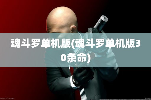 魂斗罗单机版(魂斗罗单机版30条命)