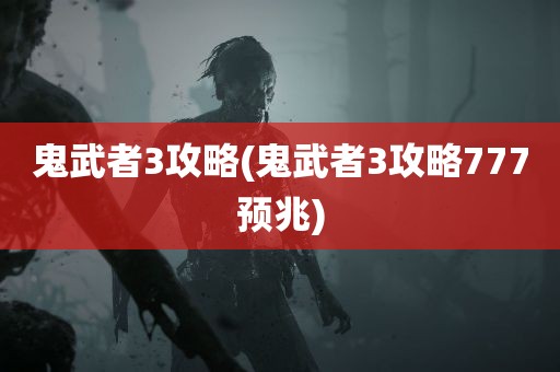 鬼武者3攻略(鬼武者3攻略777预兆)