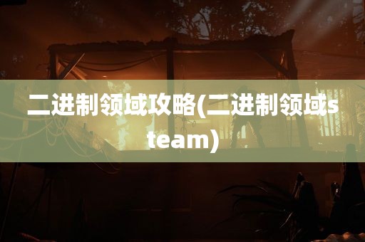 二进制领域攻略(二进制领域steam)