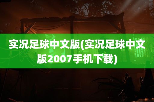 实况足球中文版(实况足球中文版2007手机下载)