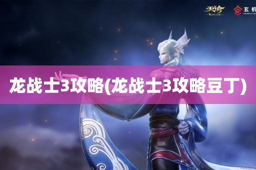 龙战士3攻略(龙战士3攻略豆丁)