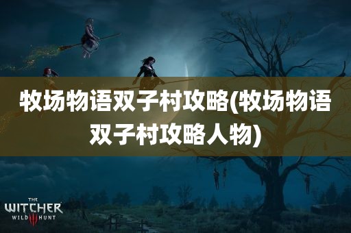 牧场物语双子村攻略(牧场物语双子村攻略人物)