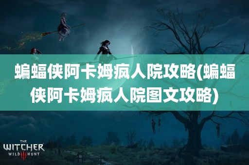 蝙蝠侠阿卡姆疯人院攻略(蝙蝠侠阿卡姆疯人院图文攻略)