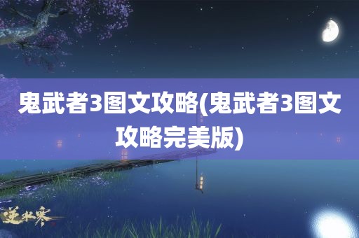 鬼武者3图文攻略(鬼武者3图文攻略完美版)