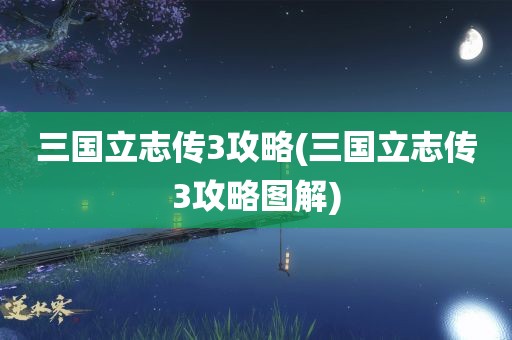 三国立志传3攻略(三国立志传3攻略图解)