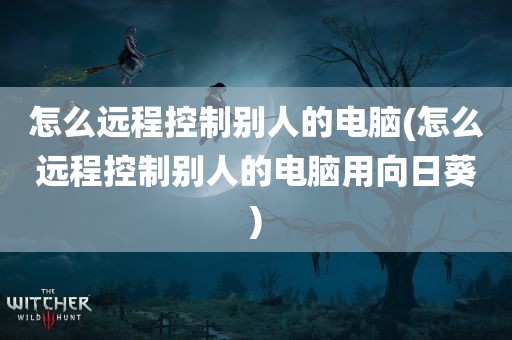 怎么远程控制别人的电脑(怎么远程控制别人的电脑用向日葵)