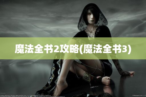 魔法全书2攻略(魔法全书3)