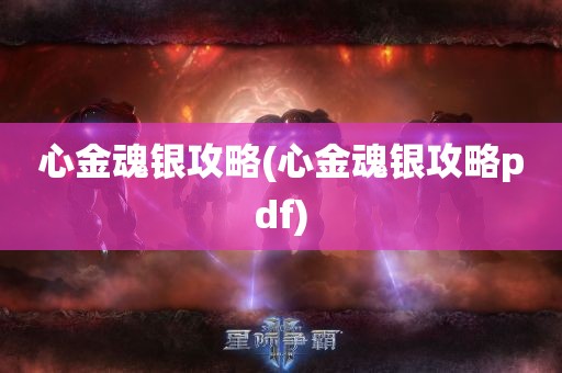 心金魂银攻略(心金魂银攻略pdf)