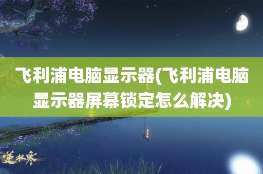 飞利浦电脑显示器(飞利浦电脑显示器屏幕锁定怎么解决)