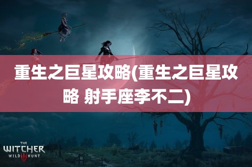 重生之巨星攻略(重生之巨星攻略 射手座李不二)