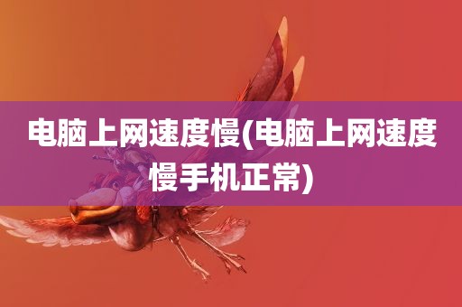 电脑上网速度慢(电脑上网速度慢手机正常)